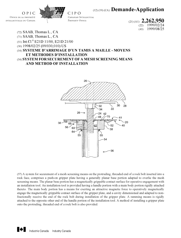 Canadian Patent Document 2262950. Cover Page 19990826. Image 1 of 1