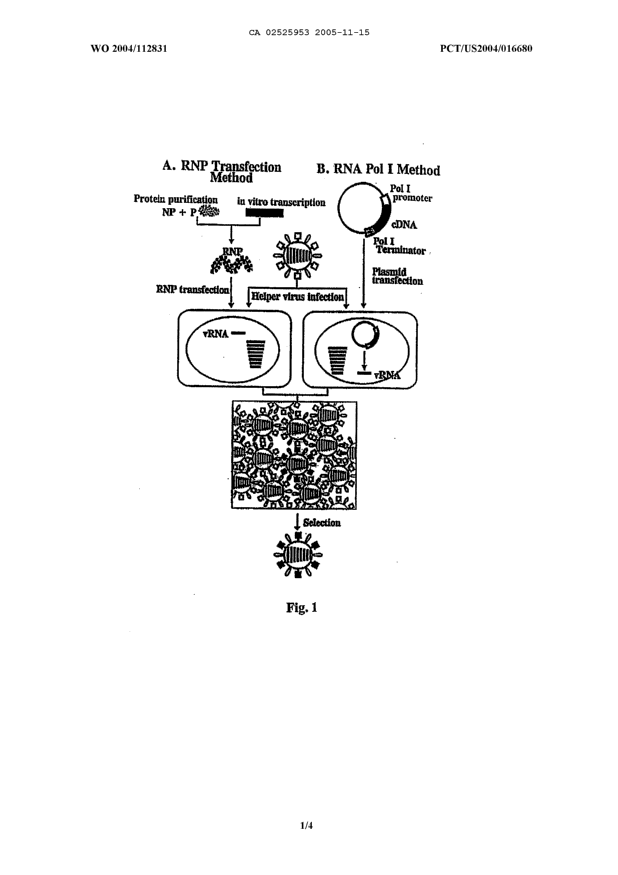 Document de brevet canadien 2525953. Dessins 20041215. Image 1 de 4