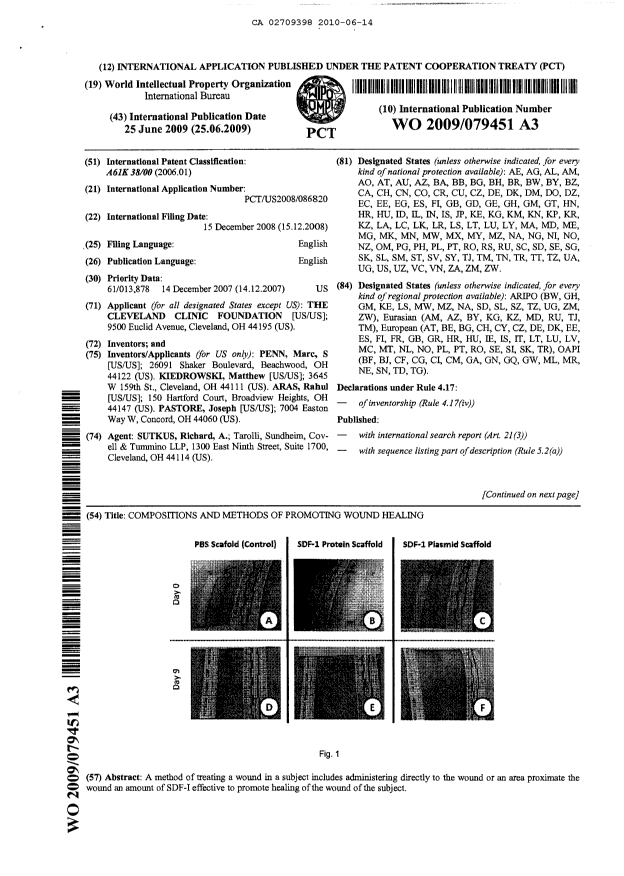 Document de brevet canadien 2709398. Abrégé 20091214. Image 1 de 2
