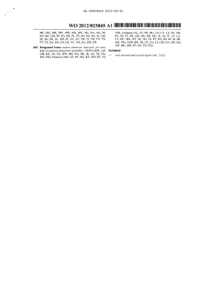 Document de brevet canadien 2809419. PCT 20121221. Image 2 de 12