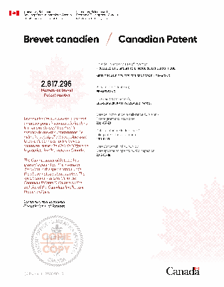 Canadian Patent Document 2817296. Electronic Grant Certificate 20210720. Image 1 of 1