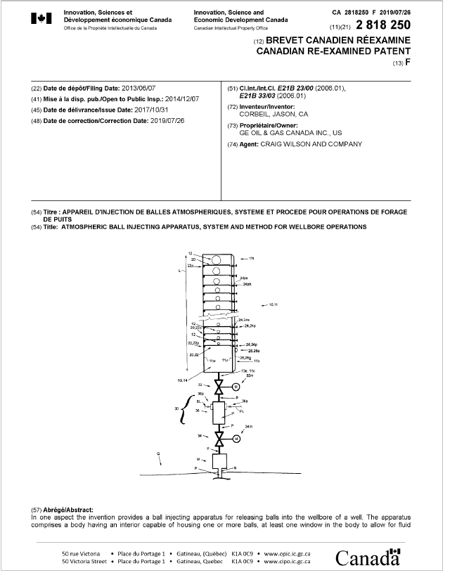 Document de brevet canadien 2818250. Page couverture 20190726. Image 1 de 57