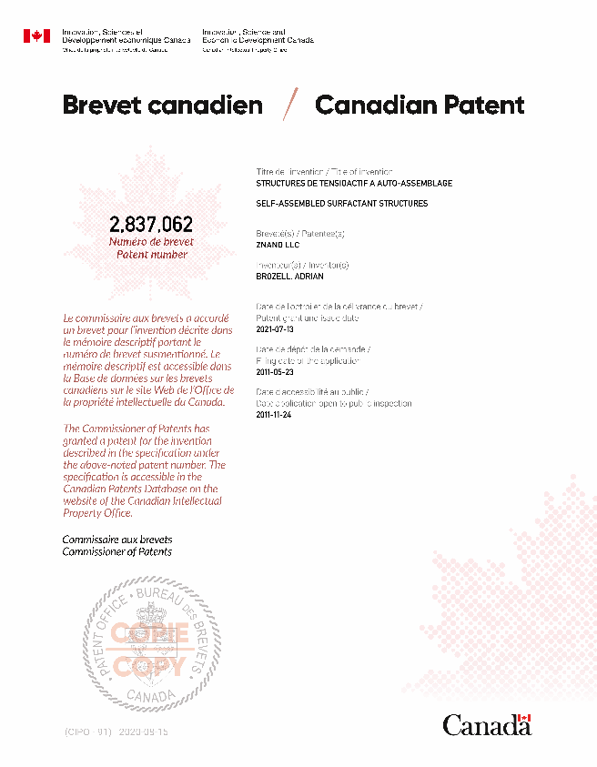 Canadian Patent Document 2837062. Electronic Grant Certificate 20210713. Image 1 of 1