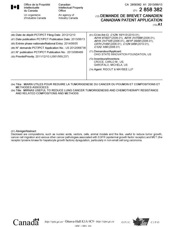 Canadian Patent Document 2858382. Cover Page 20140828. Image 1 of 1