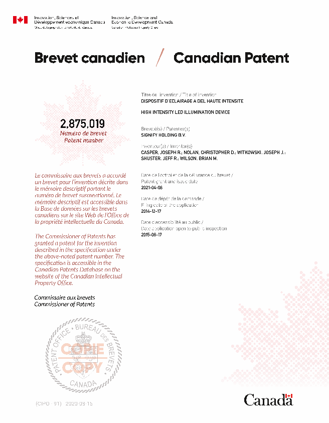 Document de brevet canadien 2875019. Certificat électronique d'octroi 20210406. Image 1 de 1