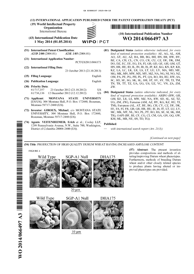 Document de brevet canadien 2888157. Abrégé 20150410. Image 1 de 2