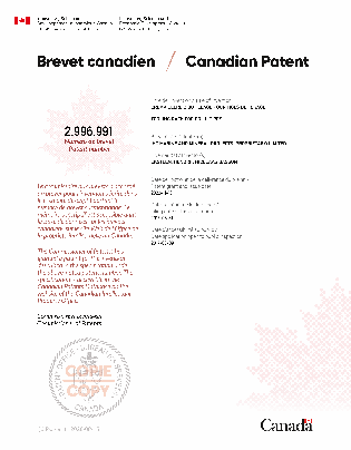 Canadian Patent Document 2996991. Electronic Grant Certificate 20221115. Image 1 of 1