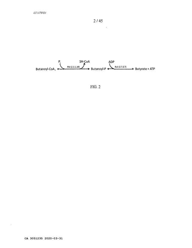 Document de brevet canadien 3051235. Dessins 20200331. Image 2 de 45