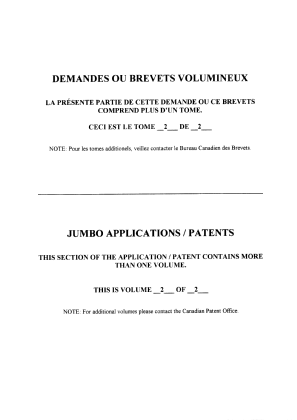 Document de brevet canadien 2547083. Description 20061229. Image 18 de 18