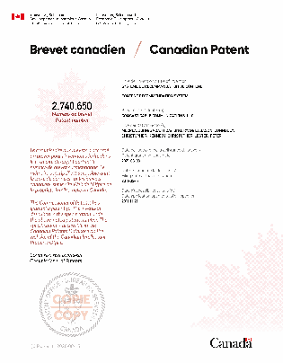Document de brevet canadien 2740650. Certificat électronique d'octroi 20210803. Image 1 de 1