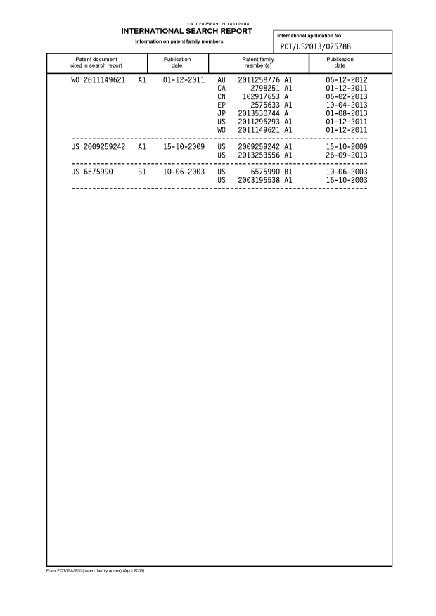 Document de brevet canadien 2875849. PCT 20141204. Image 5 de 5