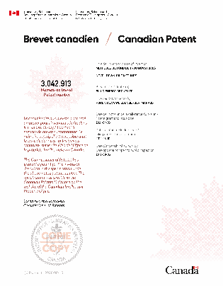 Document de brevet canadien 3042913. Certificat électronique d'octroi 20210406. Image 1 de 1