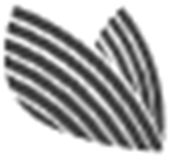 Image for 1,935,033